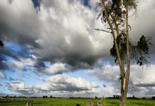 爱游戏：WTT大爆冷，男女单1号种子出局，日乒惨败，早田希娜2-3，张本1-3.