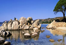 爱游戏:不断突破!刘梦婷晋级世锦赛坡面障碍技巧决赛央视新闻客户端.